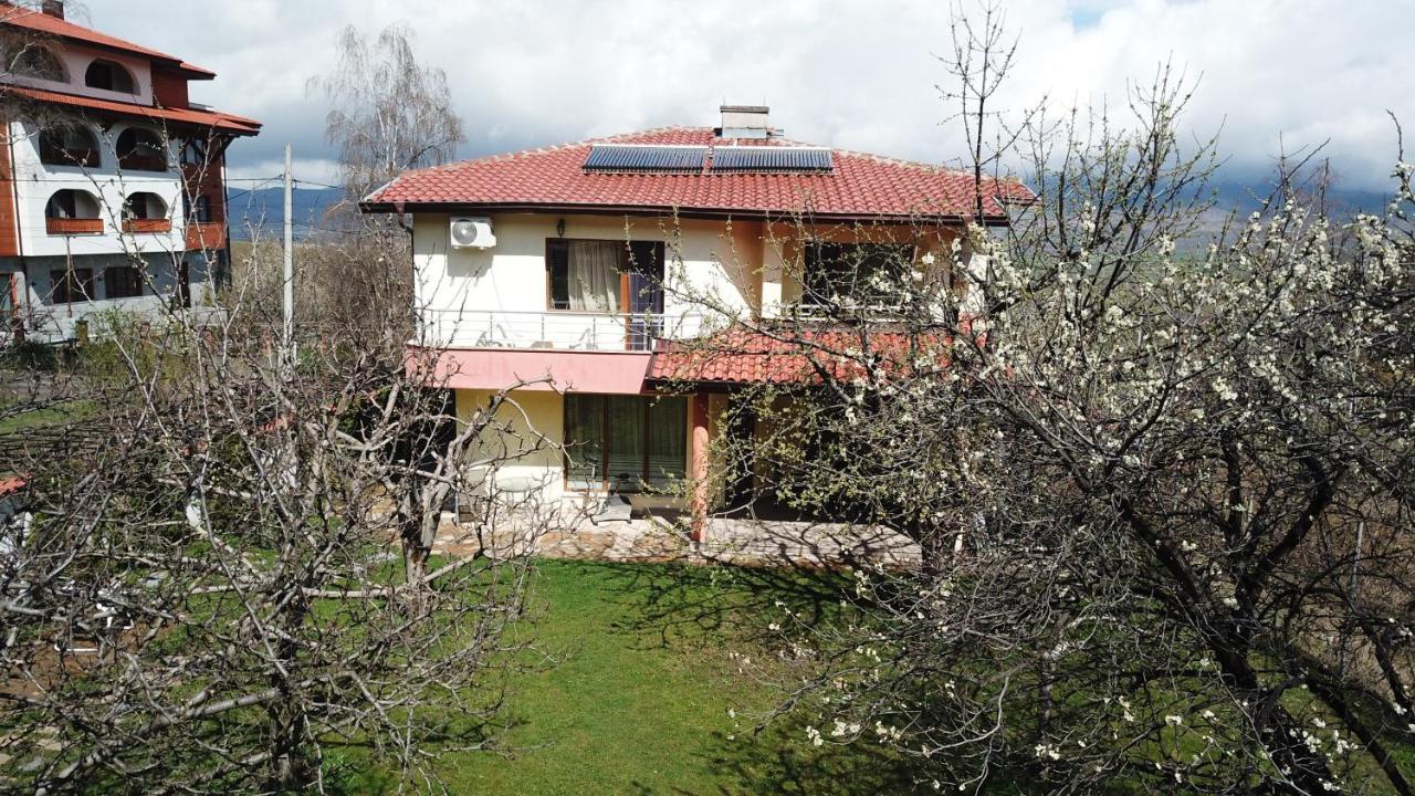 Kot Garden Guest House ساباريفا بانيا المظهر الخارجي الصورة