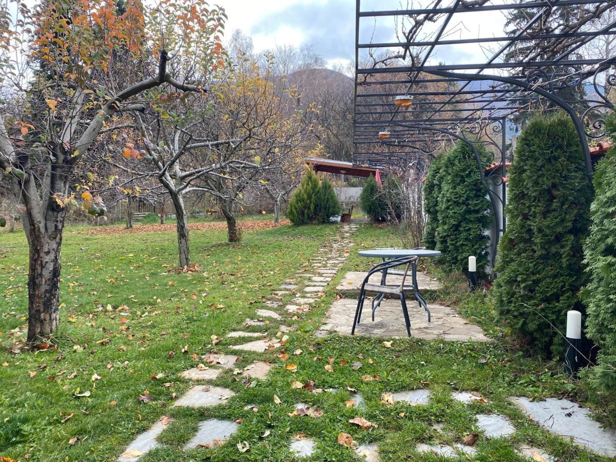 Kot Garden Guest House ساباريفا بانيا المظهر الخارجي الصورة